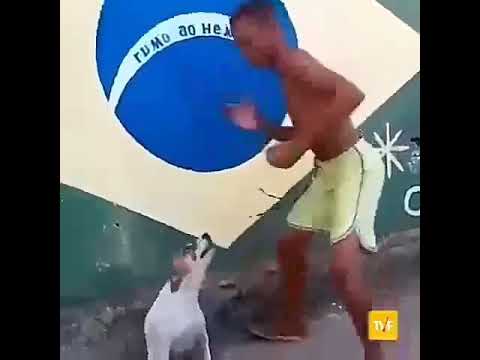 Cute puppies dancing on nagin gin gun?