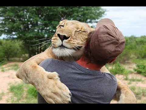 Friendly Animals Hugging Humans