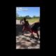 (HOOD FIGHTS) BEST KNOCKOUTS OF 2019 * MUST SEE *