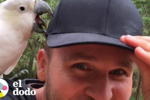 Hombre renuncia a su trabajo para fotografiar pájaros | El Dodo