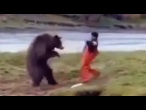 The Kung Fu bear Vs man -|funny animal fight |