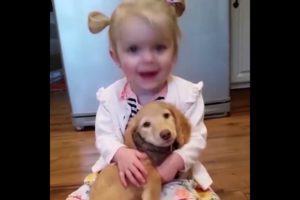 #cutepuppies #adorablebabies Cute puppies and adorable babies compilation :)