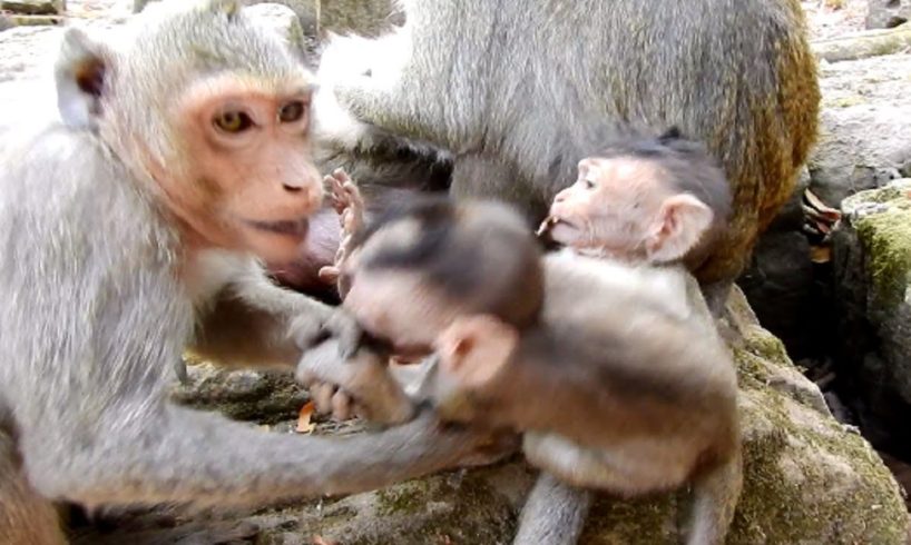 Angle Angry Little Baby Playing With Her Baby Ada! Why Angle Get Angry Like this!