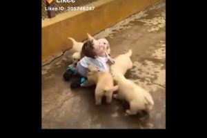 CUTE PUPPIES | CUTE BABY | LOVING EACH OTHER| SHARE LOVE