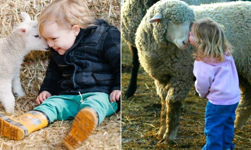 CUTE Sheep and Babies Video ?? FUNNY Animals Compilation