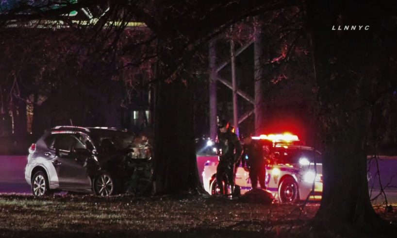 Car Crashes Tree | Cross Island Parkway