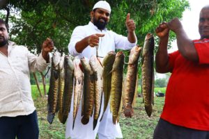 Koramenu Fish Recipe | Murrel Fish curry |Healthy Fish Curry |Nawabs