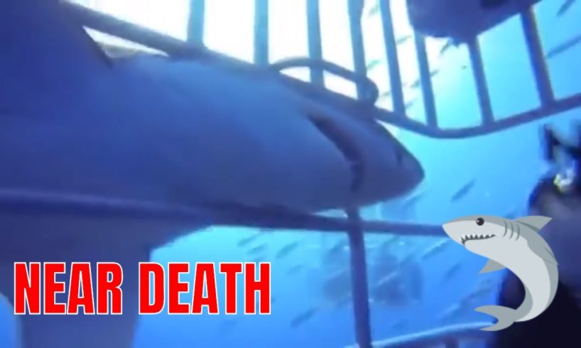 Shark ALMOST got in the Cage??NEAR DEATH EXPERIENCE compilation