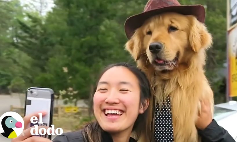 Este perrito es alcalde de su pueblo | El Dodo