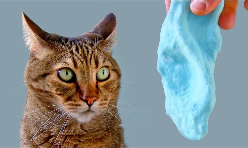 Funny Cat Reacts To Slime - WILL IT LIKE SLIME ??