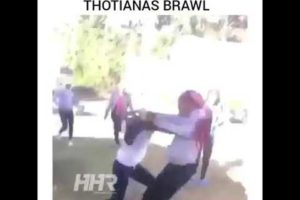 HOOD FIGHTS: Girls fighting at six flags