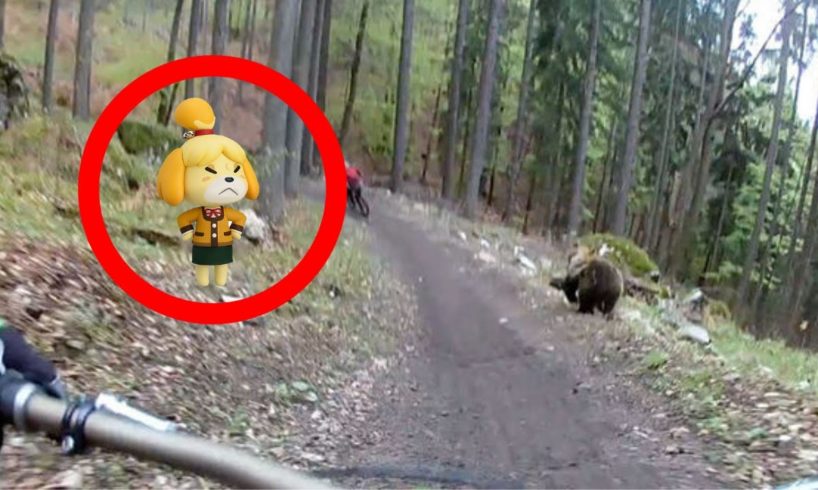 I put animal crossing music over a near death compilation