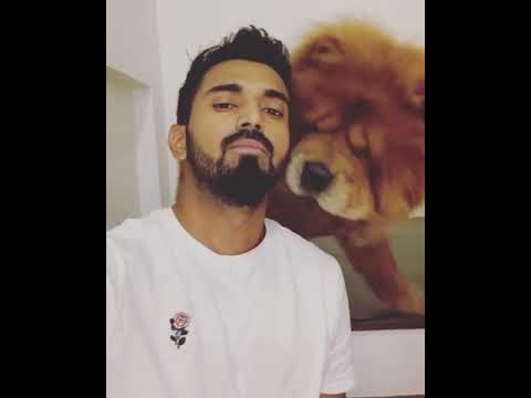 KL Rahul Playing with Dog