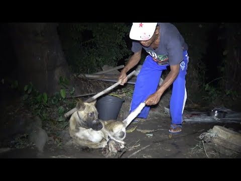 Poor Dog Was Dying of Hunger and Thirst Where He Stuck- Rescuing Dog Abandoned by Cruel Owner