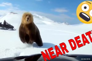 NEAR DEATH ANIMAL ENCOUNTERS COMPILATION captured by GoPro