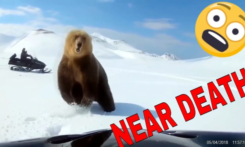 NEAR DEATH ANIMAL ENCOUNTERS COMPILATION captured by GoPro