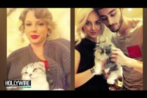 Taylor Swift Vs. Zayn Malik & Perrie Edwards: Cutest Kitten?!