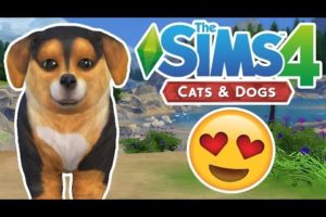 The CUTEST Puppy Ever! | The Sims 4 YouTuber Pets | Episode 12