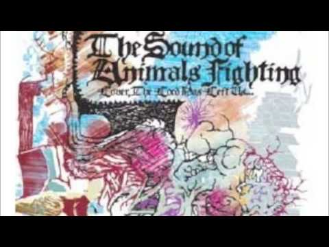 The Sound of Animals Fighting - Stockhausen, Es Ist Ihr Gehirn, Das Ich Suche