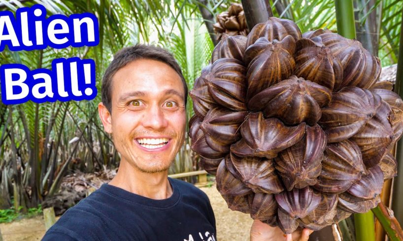 Amazing Food - ALIEN SPIKY BALL!! You Won’t Believe How They EAT This!!