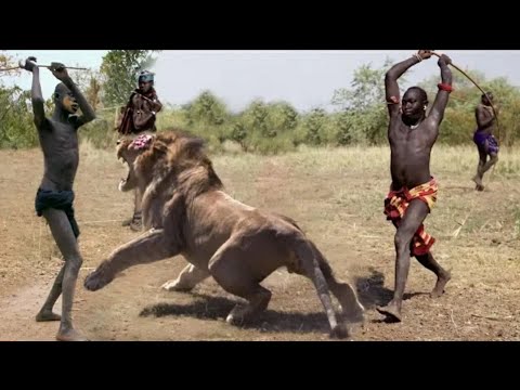 Amazing Wild Animals Attacks | Wild Animal Fights Caught On Camera | Wild Animals Ultimate Fights