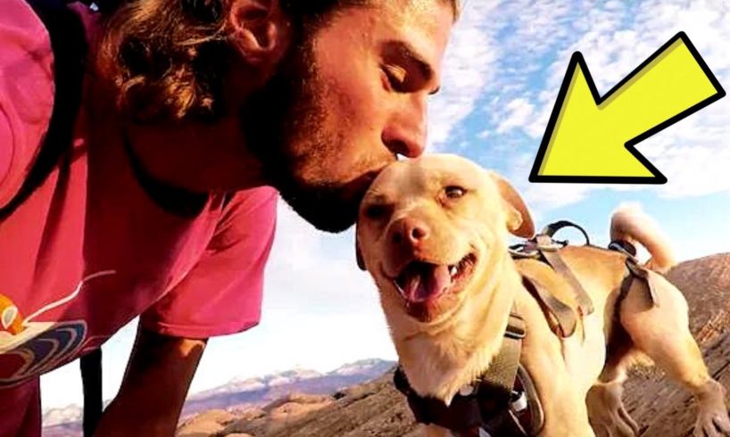 Cliff Diver Rescues Abandoned Dog, Takes It On Extreme Adventures