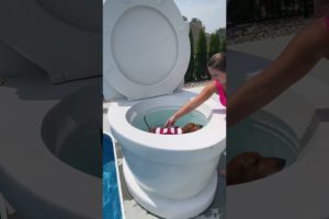 Cutest Puppy Ever Swimming in Worlds Largest Toilet and Jumping in Pool #shorts