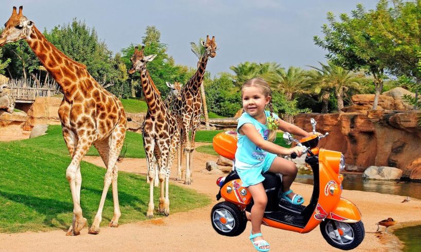 Diana feeds animals at the zoo, fun family trip