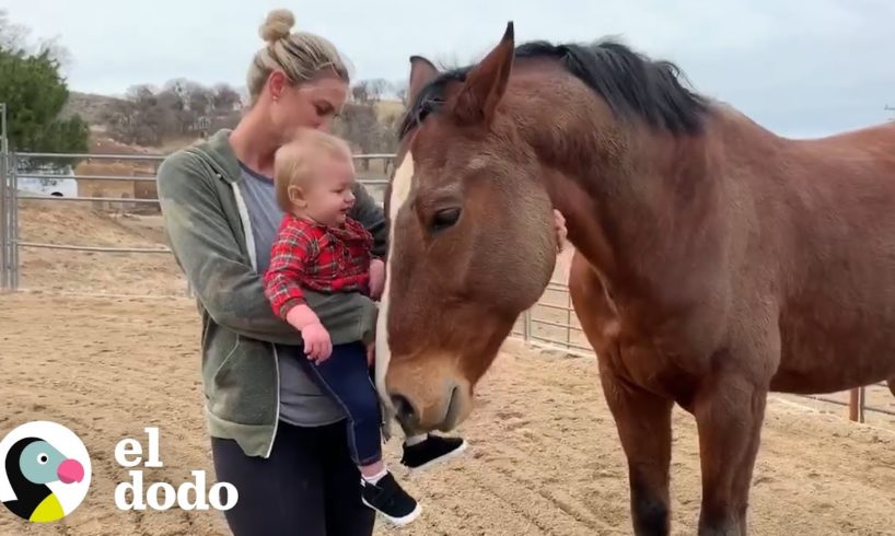 Esta mujer y su caballo rescatado son mejores amigos I El Dodo