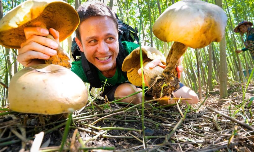 Head-Sized GIANT MUSHROOMS!! ?  Pick + Cook 3 Ways - LOCAL FOOD DELICACY!!
