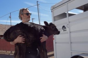 Joaquin Phoenix Rescues Mother Cow and Newborn Calf Day after Academy Awards Win