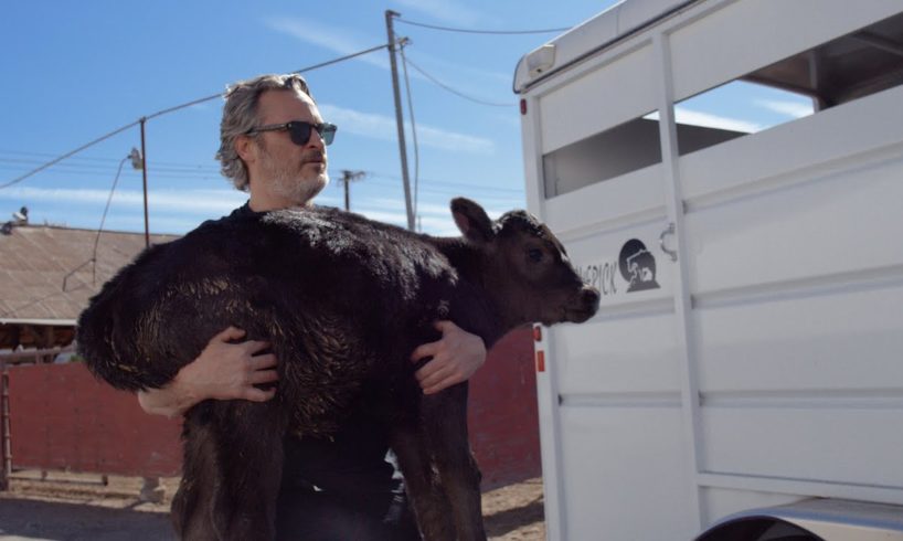 Joaquin Phoenix Rescues Mother Cow and Newborn Calf Day after Academy Awards Win