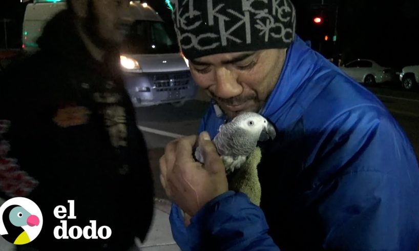 Lora liberada de una alcantarilla está muy feliz de ver a su papá I El Dodo