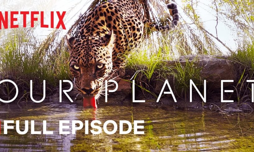 Our Planet | From Deserts to Grasslands | FULL EPISODE | Netflix