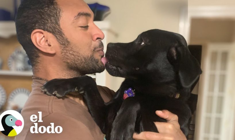 Perro rescatado que fue devuelto varias veces encuentra a la mejor familia I El Dodo