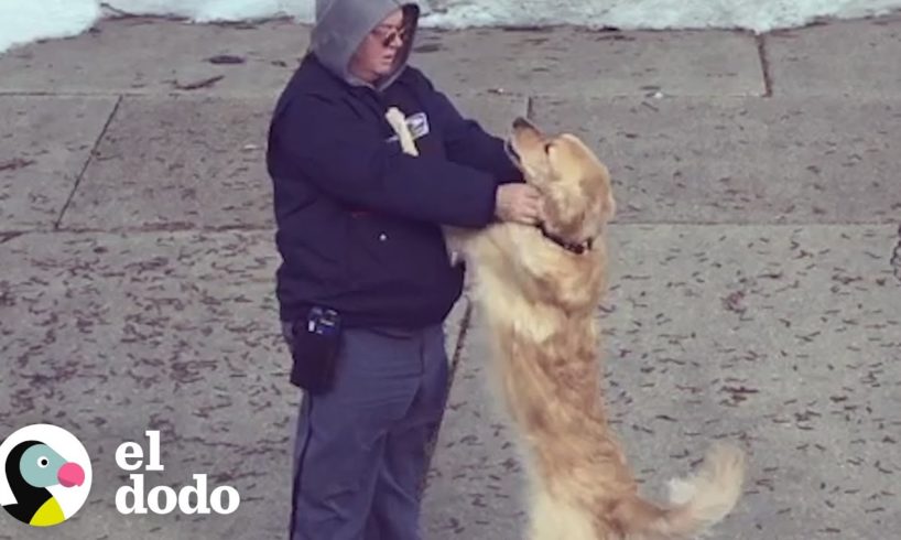 Perro y cartero tienen la relación más adorable | El Dodo