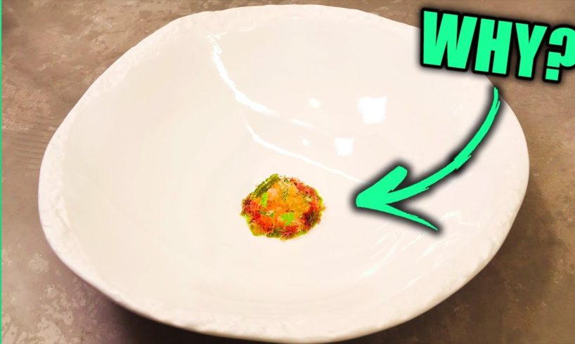 Why Expensive Restaurants Give Small Portions! Fine Dining Explained!!