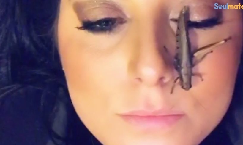 Woman Rescues A Grasshopper And Gives Her The Best Life Ever | The Dodo Soulmates