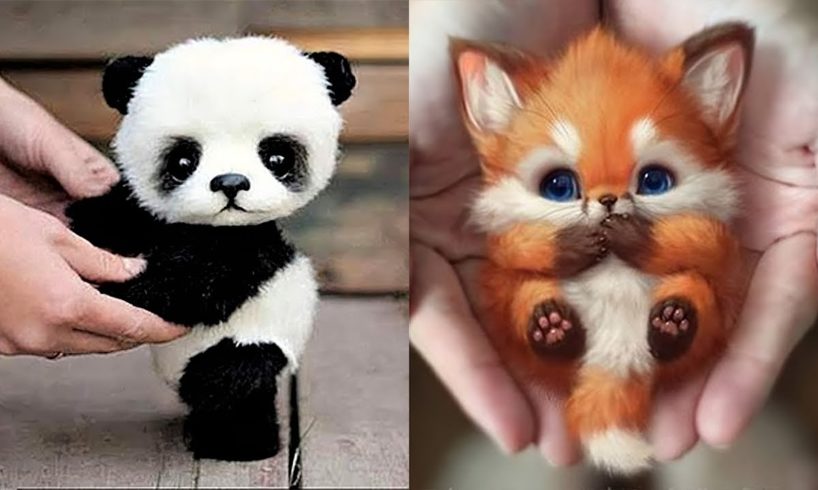 10 Cutest Baby Animals That Will Make You Go Aww