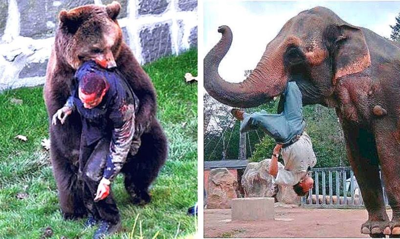 12 Times Animals Took Revenge On Humans