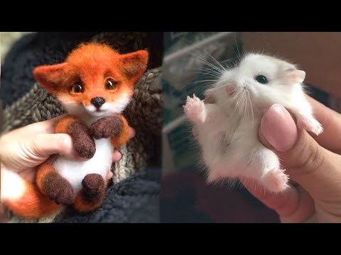 Cutest baby animals Videos Compilation Cute moment of the Animals - Cutest Animals #13