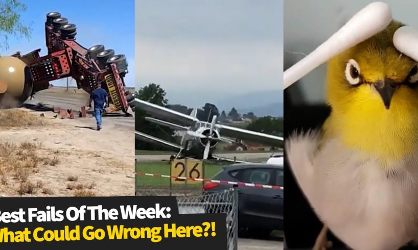 Best Fails Of The Week: What Could Go Wrong Here?