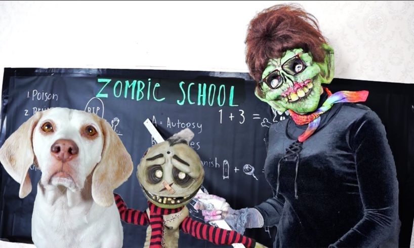 Dog Rescues Zombie Boy From Zombie School! Funny Dogs Maymo & Potpie vs Zombie Teacher