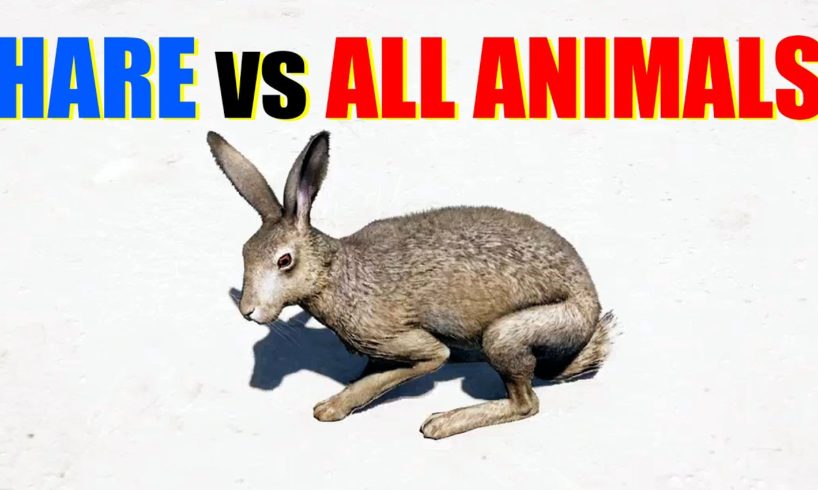 Far Cry 5 Arcade - Animal Fight: Hare vs All Animals