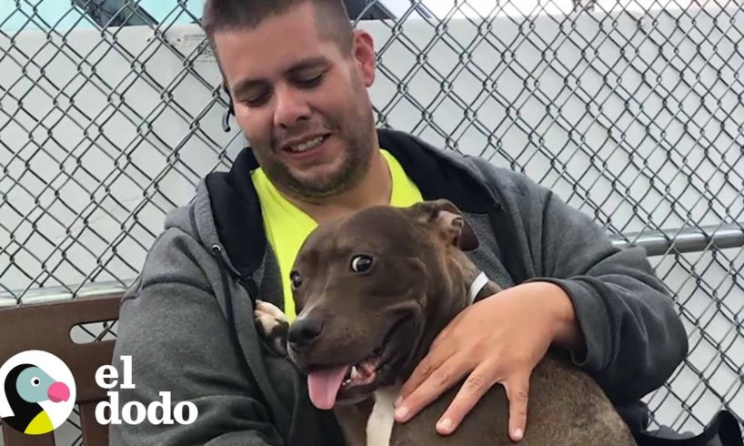 Hombre conduce 4500 kilómetros para salvar a un perro | El Dodo