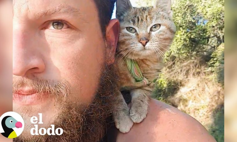 Hombre es adoptado por una gatita mientras viaja el mundo | El Dodo