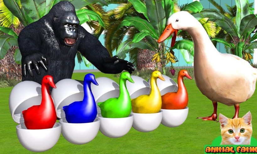 Learn Colors Learn Animals with Gorilla rescues Goose eggs - Funny #Cartoon for Kids