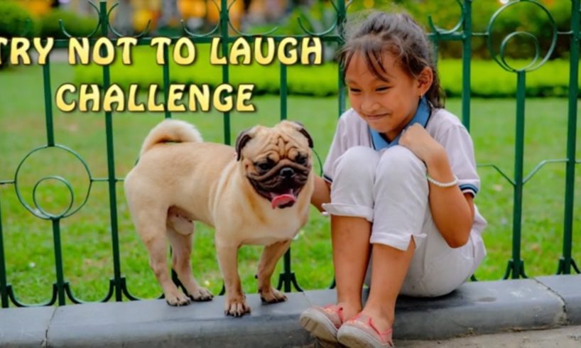 ?The Funniest & Cutest Dogs And Kids ? TRY NOT TO LAUGH CHALLENGE 2020!