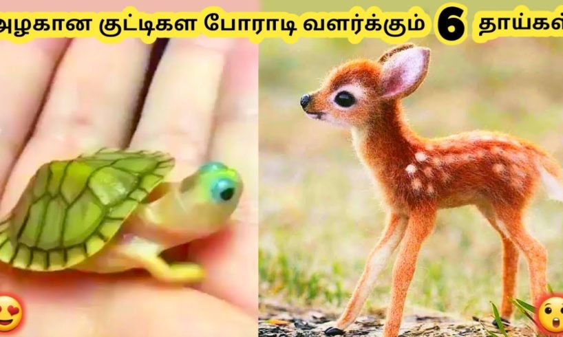 அழகான விலங்குகள் ||Six Cutest Baby Animals Part-2|| Tamil Galatta New