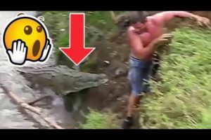 5 Crocodile Encounters You Should Avoid Watching (part 1)